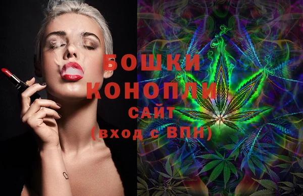 гашик Липки