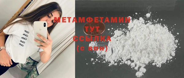 прущие грибы Ладушкин