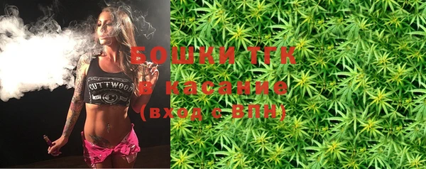 прущие грибы Ладушкин