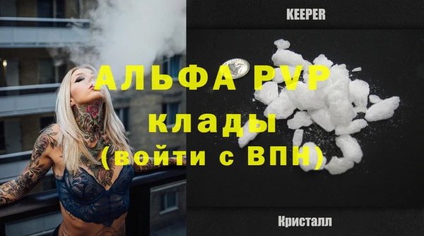 прущие грибы Ладушкин